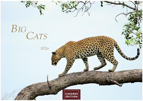 Big Cats 2026 L 50x35cm Big Cats 2026 L 50x35cm von CASARES EDITION