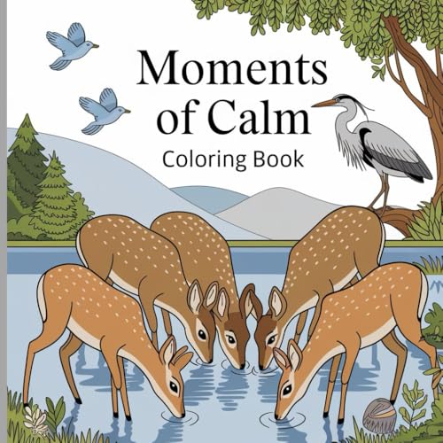 Moments of Calm: A Relaxing Coloring Book for Stress Relief and Mindfulness Moments of Calm: A Relaxing Coloring Book for Stress Relief and Mindfulness von Independently published