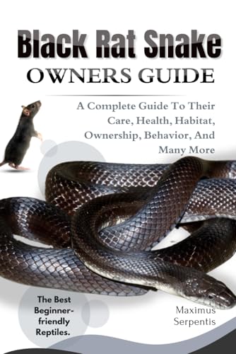 BLACK RAT SNAKE OWNERS GUIDE: A Complete Guide to Their Care, Health, Habitat, Ownership, Behavior, And Many More. von Independently published
