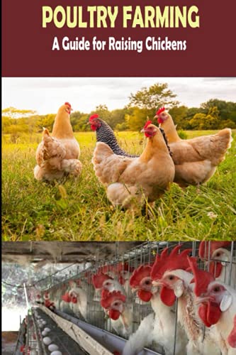 The Complete Guide of Poultry Farming: Eggs Production, Raising Chickens