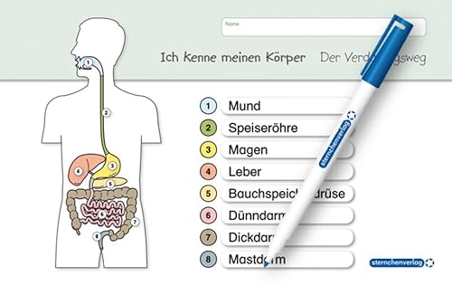 Ich kenne meinen Körper - Der Verdauungsweg: Für die 3. bis 6. Klasse - Stabile wiederbeschreibbare Lernvorlage im A5+ Format (Vorder- und Rückseite) ... - trocken abwischbar ohne zu schmieren