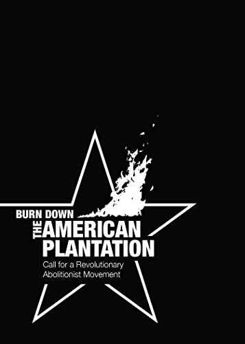 Burn Down the American Plantation von Combustion Books