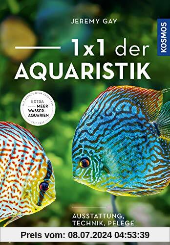 1 x 1 der Aquaristik: Ausstattung, Technik, Pflege