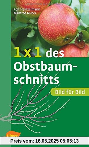 1 x 1 des Obstbaumschnitts: Bild für Bild