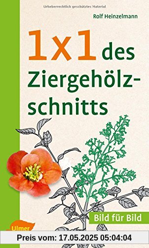 1 x 1 des Ziergehölzschnitts: Bild für Bild