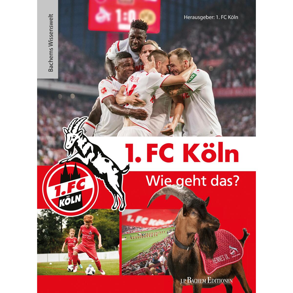 1. FC Köln - Wie geht das? von Bachem J.P. Editionen