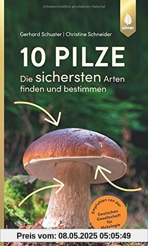 10 Pilze: Die sichersten Arten finden und bestimmen