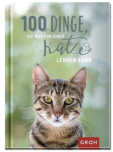 100 Dinge, die man von einer Katze lernen kann: Kleines Geschenkbuch mit einer schönen Botschaft an Katzenfreunde (Geschenke für Katzenliebhaber) von Groh Verlag