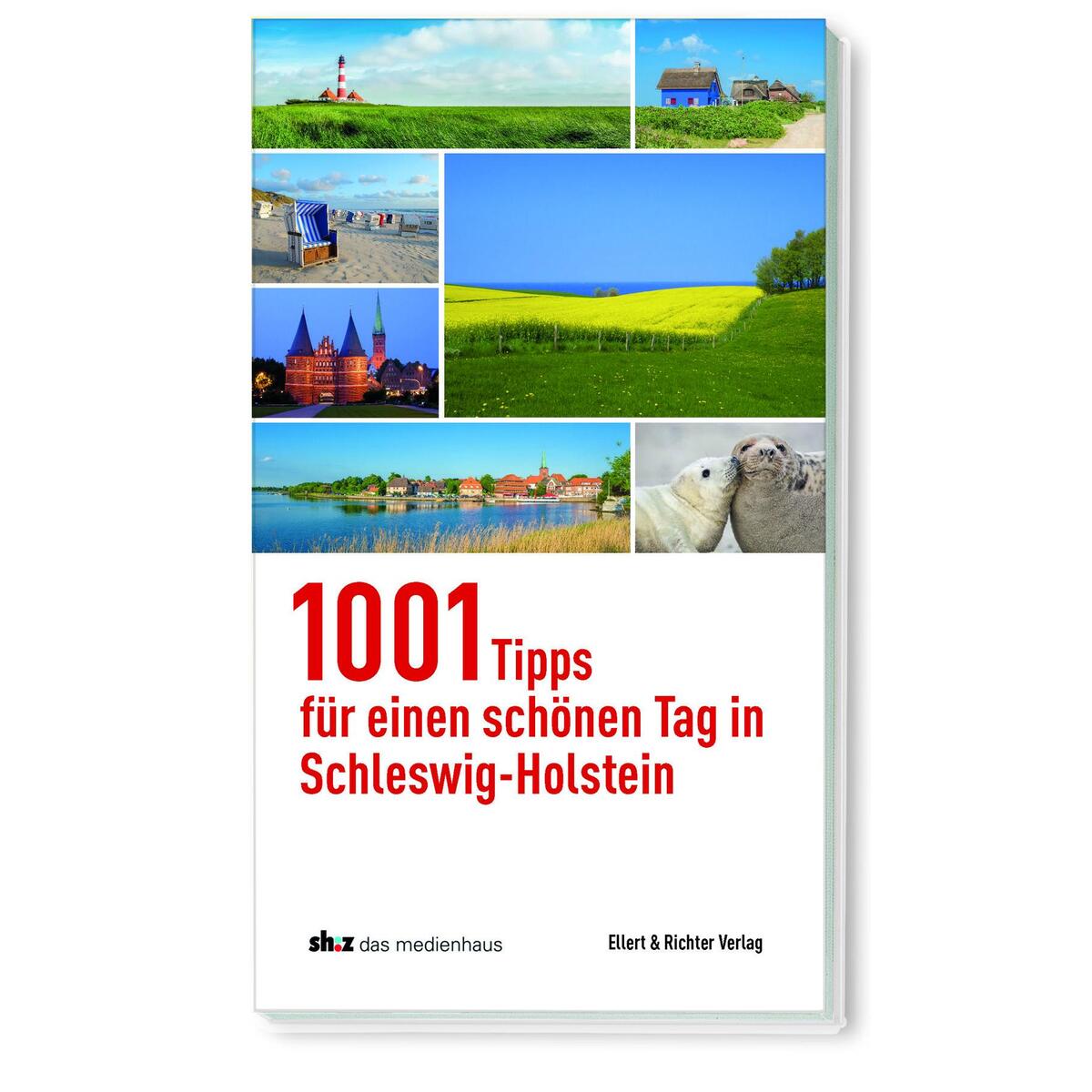 1001 Tipps für einen schönen Tag in Schleswig-Holstein von Ellert & Richter Verlag G