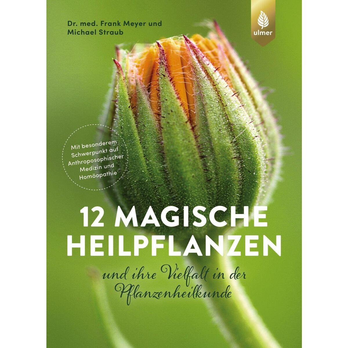 12 magische Heilpflanzen 12 magische Heilpflanzen von Ulmer Eugen Verlag