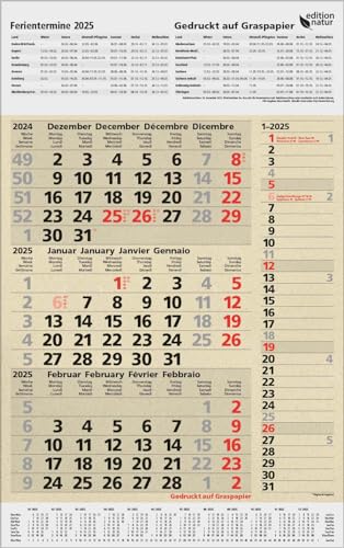 3-Monats-Planer 2025 Combi Graspapier: 3-Monatskalender groß I Wandplaner / Bürokalender aus Graspapier, Ferienterminen, Vor-und Nachmonat und Jahresübersicht I extra Streifenplaner I 30 x 47,8 cm von Korsch Verlag