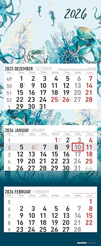 3-Monatskalender Design 2026 - Büro-Kalender 33x20 cm (geschlossen), 33x80 cm (geöffnet) - faltbar - mit Datumsschieber - Alpha Edition von ALPHA EDITION