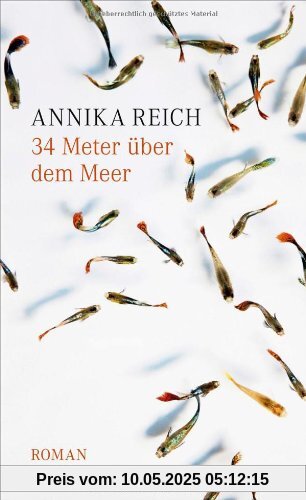 34 Meter über dem Meer: Roman