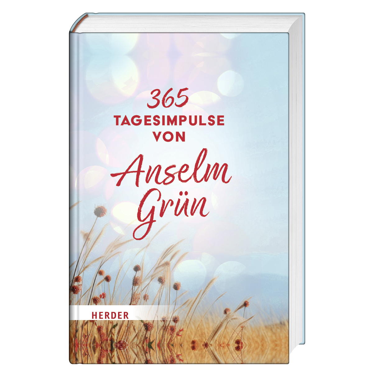 365 Tagesimpulse von Anselm Grün von Herder Verlag GmbH