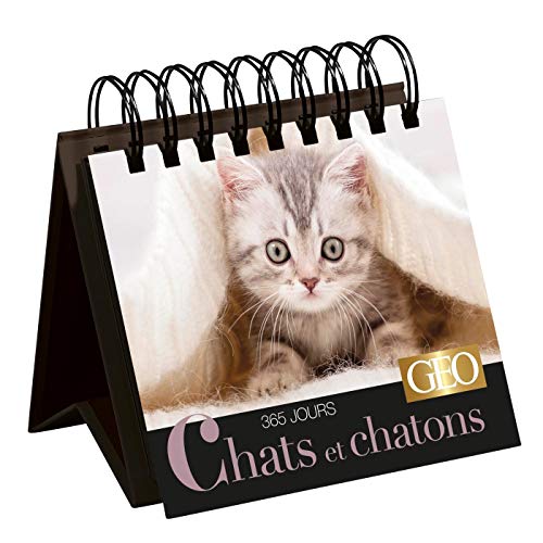 365 jours Chats et chatons - Calendrier Géo von PLAY BAC