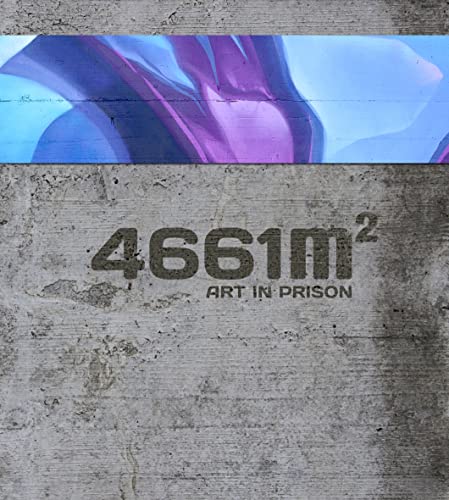 4661 m2: Art in Prison