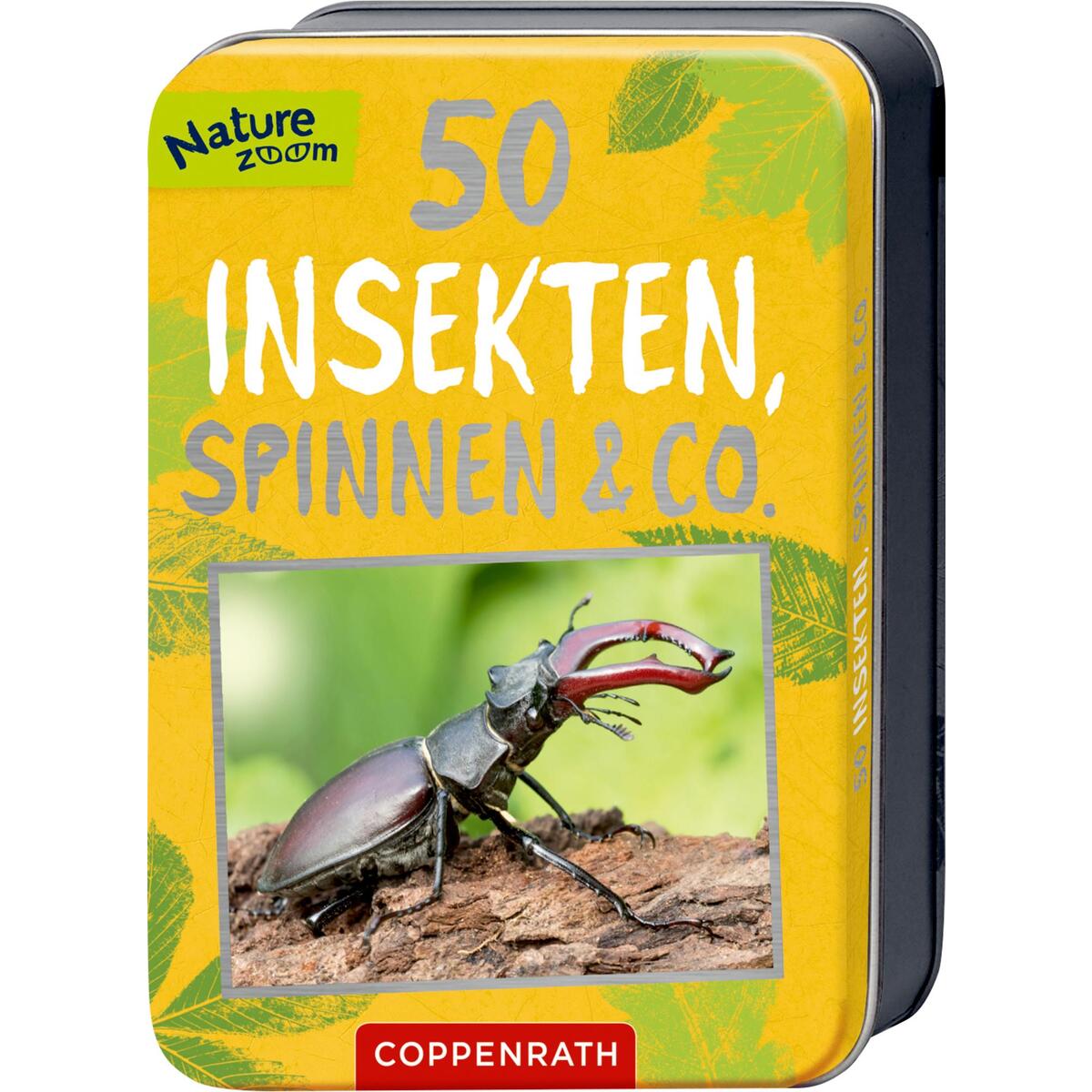 50 Insekten, Spinnen & Co. 50 Insekten, Spinnen & Co. von Coppenrath