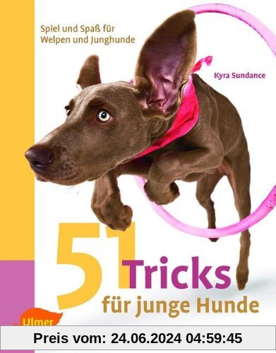 51 Tricks für junge Hunde: Spiel und Spaß für Welpen und Junghunde