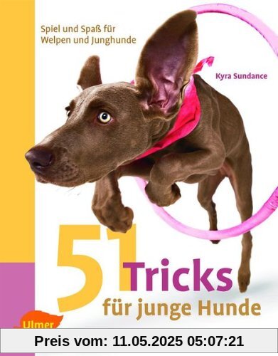 51 Tricks für junge Hunde: Spiel und Spaß für Welpen und Junghunde