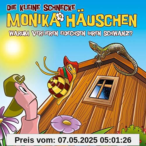 59: Warum verlieren Eidechsen ihren Schwanz? 59: Warum verlieren Eidechsen ihren Schwanz?