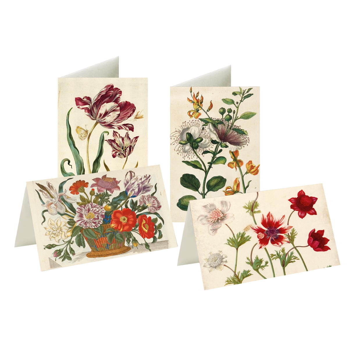 8er-Set Briefkarten »Blumenwelt Merian« 8er-Set Briefkarten »Blumenwelt Merian« von Monumente Publikationen