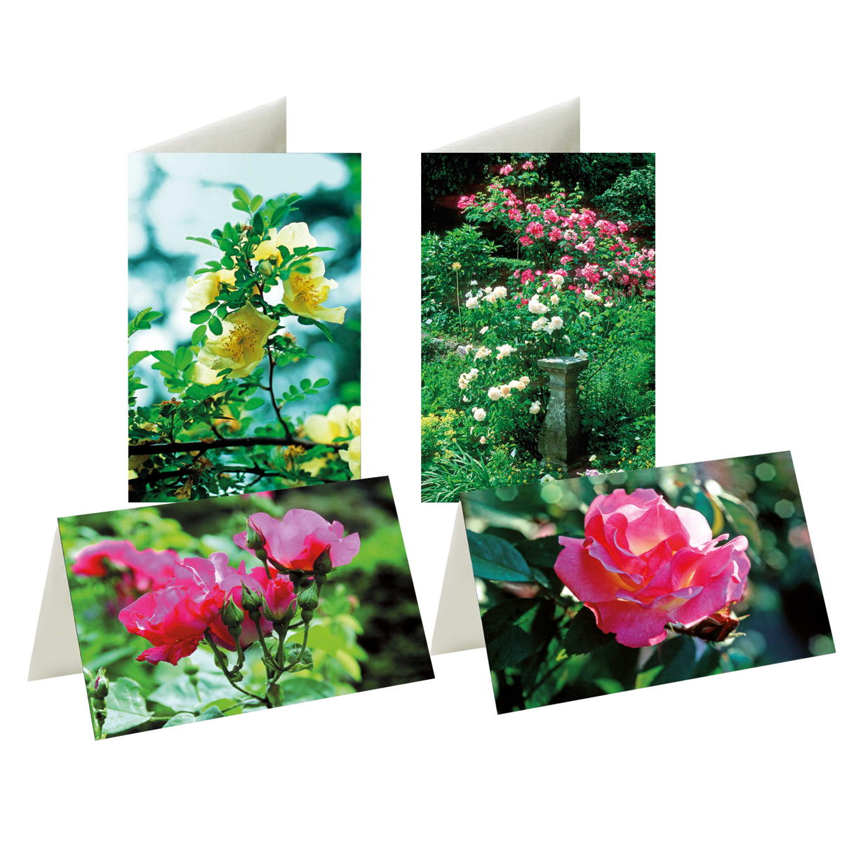 8er-Set Briefkarten »Lieblingsrosen« 8er-Set Briefkarten »Lieblingsrosen« von Monumente Publikationen