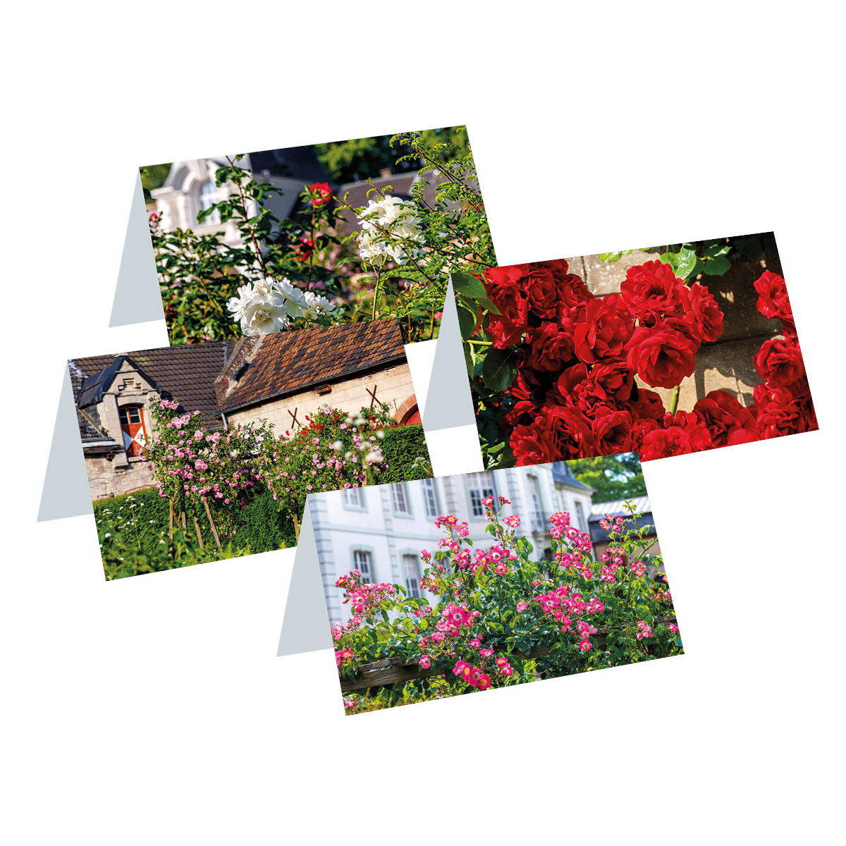 8er-Set Briefkarten »Rosen im Schlossgarten« 8er-Set Briefkarten »Rosen im Schlossgarten« von Monumente Publikationen