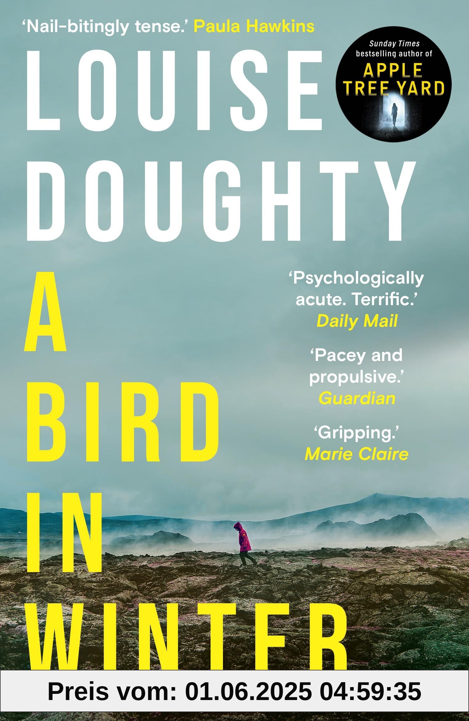 A Bird in Winter: 'Nail-bitingly tense and compelling' Paula Hawkins
