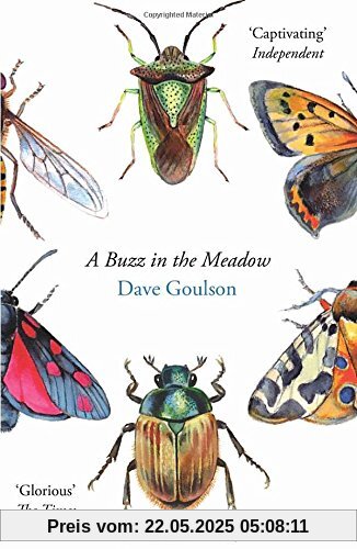 A Buzz in the Meadow