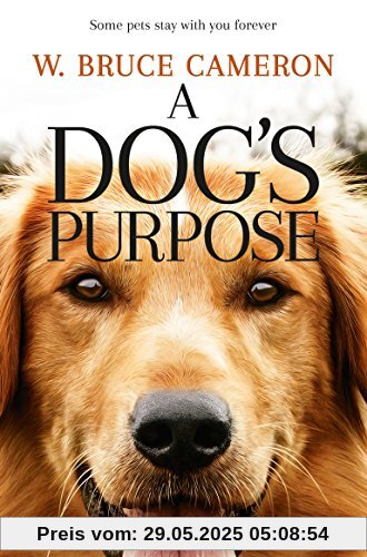 A Dog's Purpose