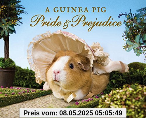 A Guinea Pig Pride & Prejudice