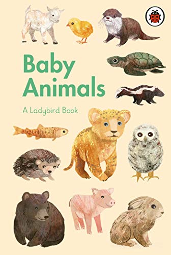 A Ladybird Book: Baby Animals von Ladybird