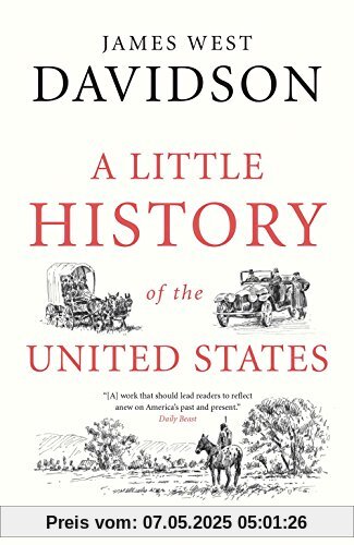A Little History of the United States (Little Histories)