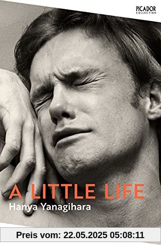 A Little Life (Picador Collection)