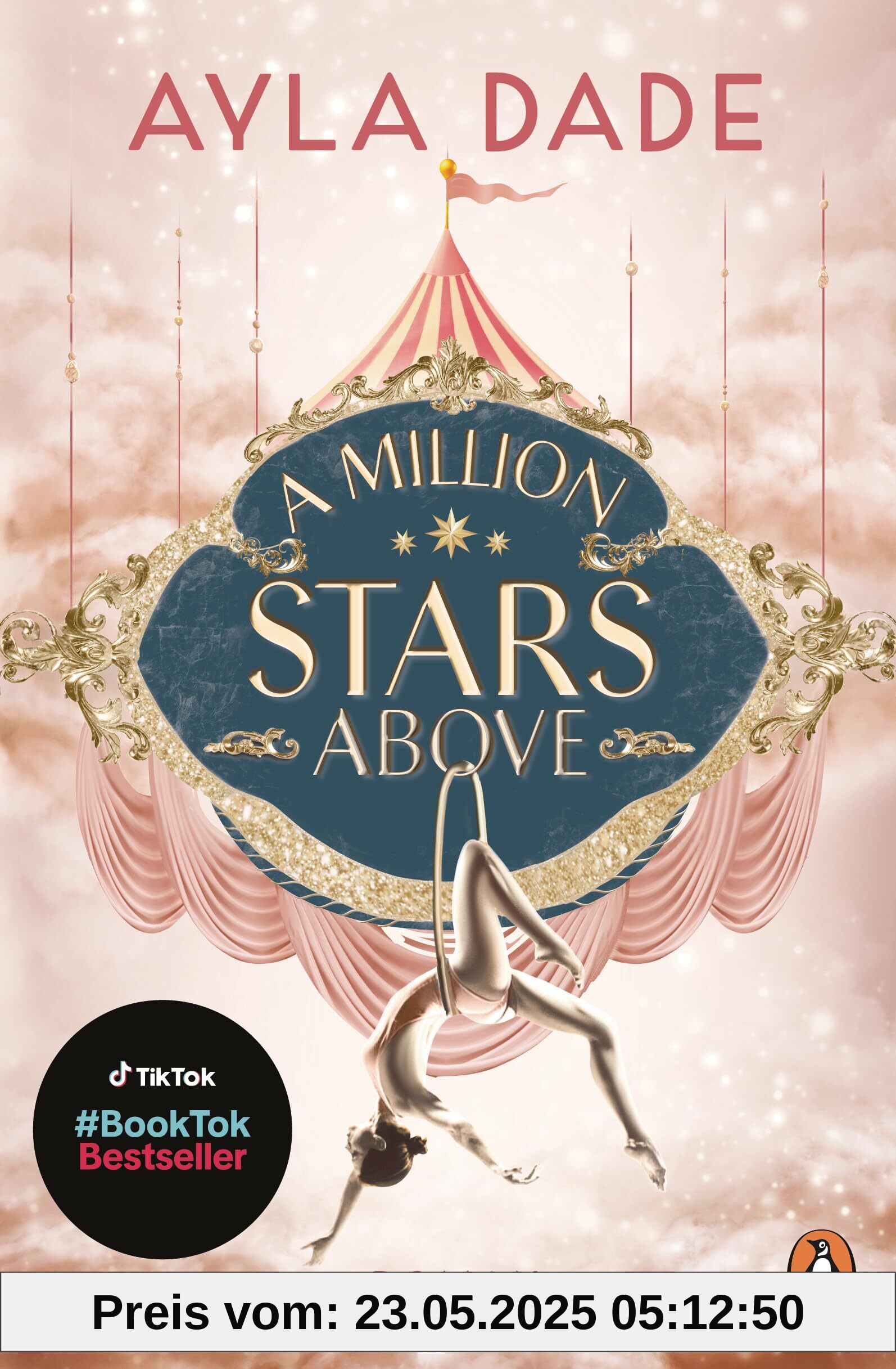 A Million Stars Above: Roman. Die New Adult Starautorin mit ihrer neuen Bestsellerreihe - circus aesthetic meets enemies to lovers. (Die Sky-Circus-Reihe, Band 1)