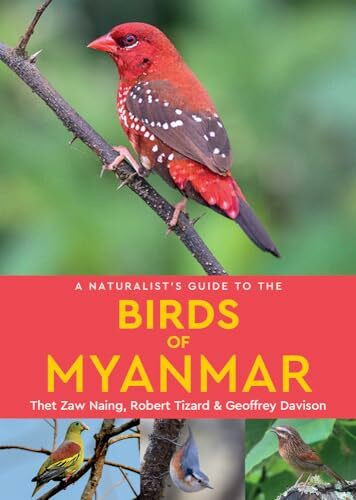 A Naturalist's Guide to the Birds of Myanmar (Naturalist's Guides)