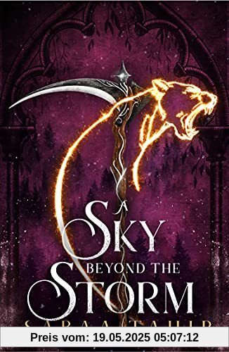A Sky Beyond The Storm: Ember Quartet (4)