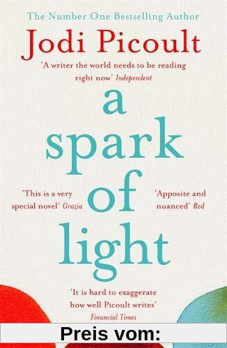 A Spark of Light: THE NUMBER ONE SUNDAY TIMES BESTSELLER