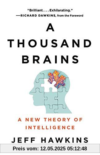 A Thousand Brains: A New Theory of Intelligence