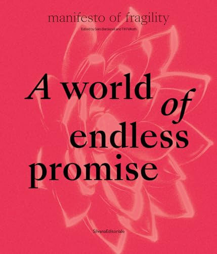 A World of Endless Promise: Manifesto of Fragility (The 16th Lyon Biennale: manifesto of fragility) von Silvana