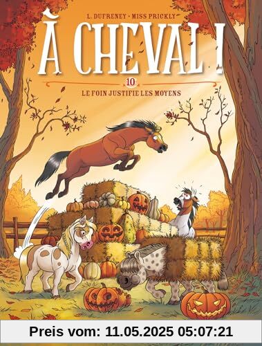 À cheval ! T10: Le foin justifie les moyens