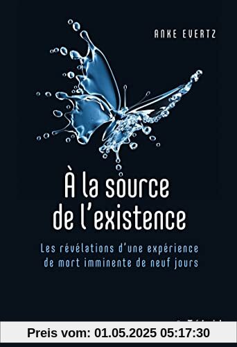 A la source de l'existence - Les révélations d'une expérience de mort imminente de neuf jours