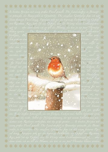 A4-Wand-Adventskalender – Marjoleins Rotkehlchen A4-Wand-Adventskalender – Marjoleins Rotkehlchen von Coppenrath Verlag GmbH & Co. KG