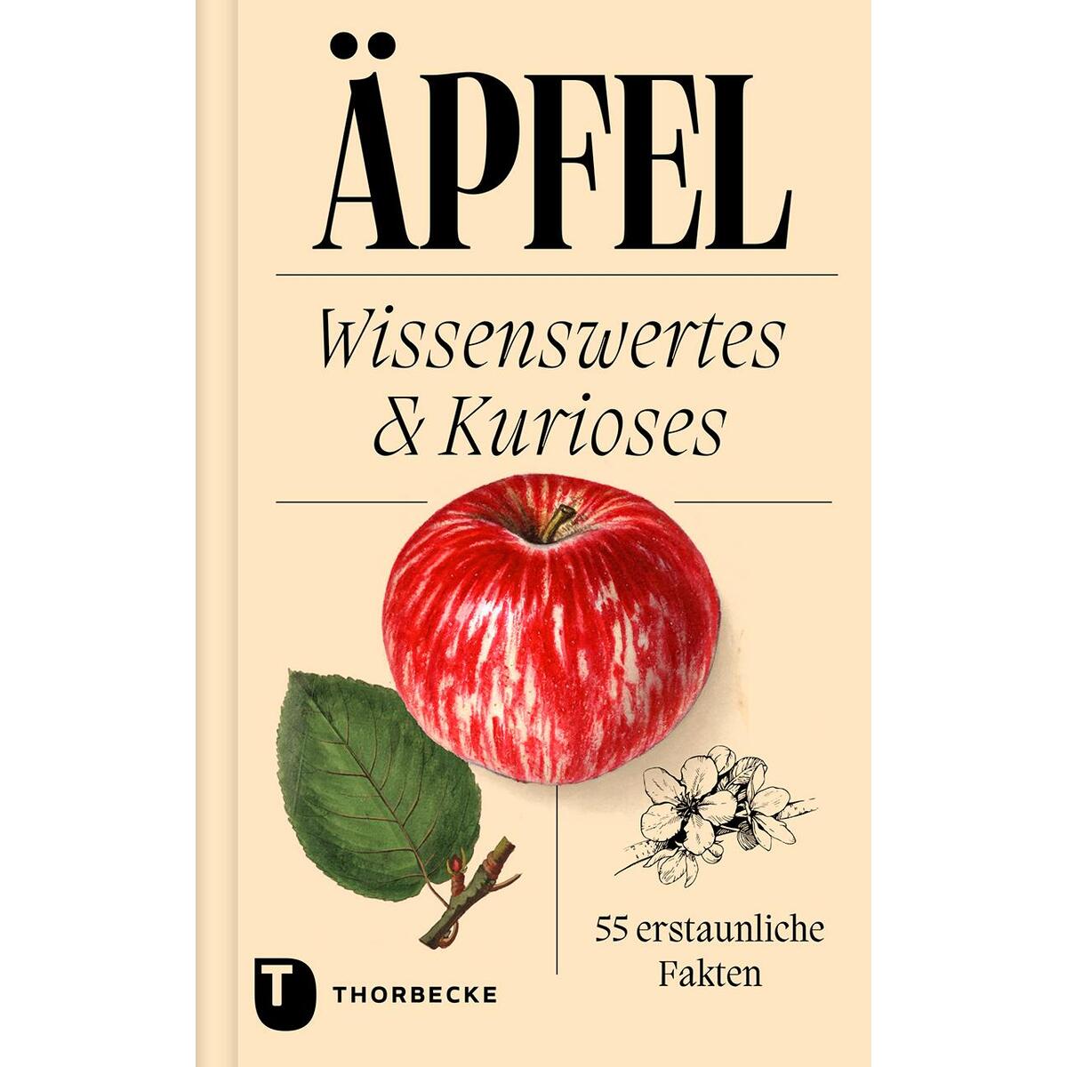 Äpfel von Thorbecke Jan Verlag