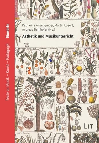 Ästhetik und Musikunterricht: Festschrift für Michaela Schwarzbauer (Einwürfe. Texte zu Musik - Kunst - Pädagogik) von Lit Verlag
