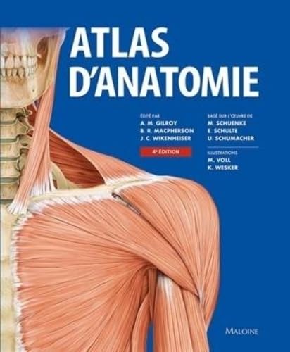 ATLAS D'ANATOMIE, 4E ED von MALOINE