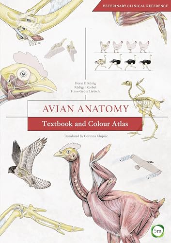 Avian Anatomy: Textbook and Colour Atlas (Veterinary Atlases)