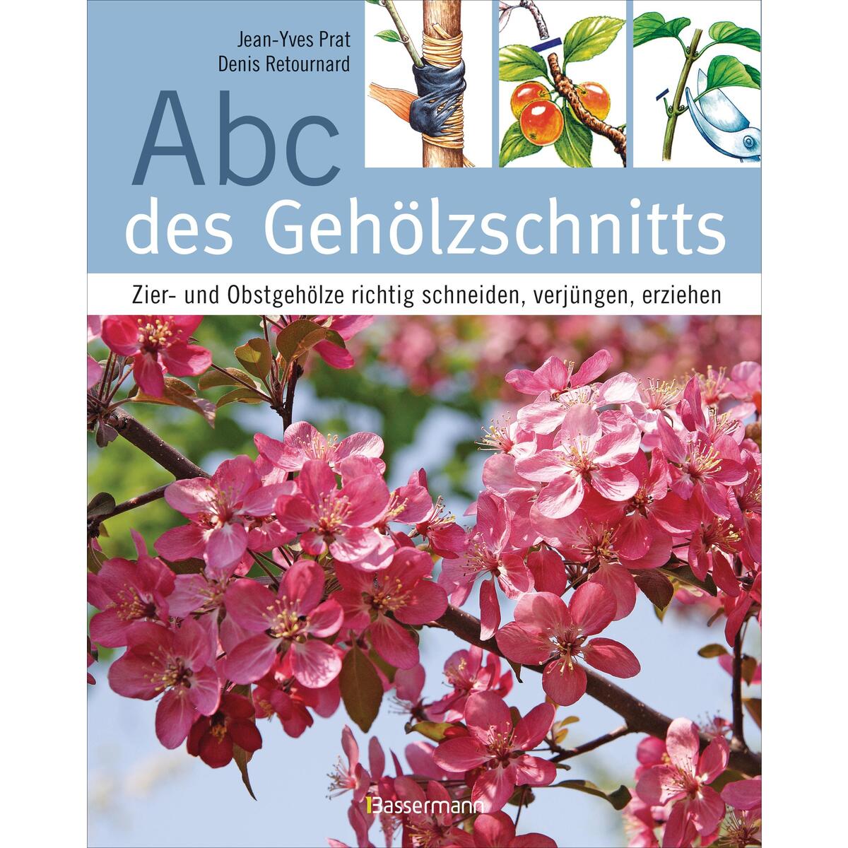 Abc des Gehölzschnitts Abc des Gehölzschnitts von Bassermann, Edition