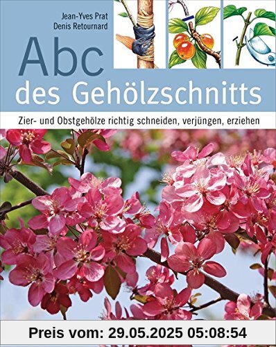 Abc des Gehölzschnitts: Zier- und Obstgehölze richtig schneiden, verjüngen, erziehen