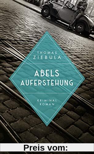 Abels Auferstehung (Paul Stainer, Band 2)